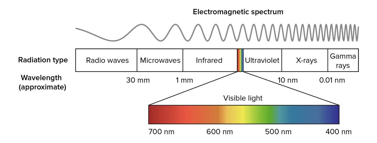 A figure showing the light spectrum with labels.